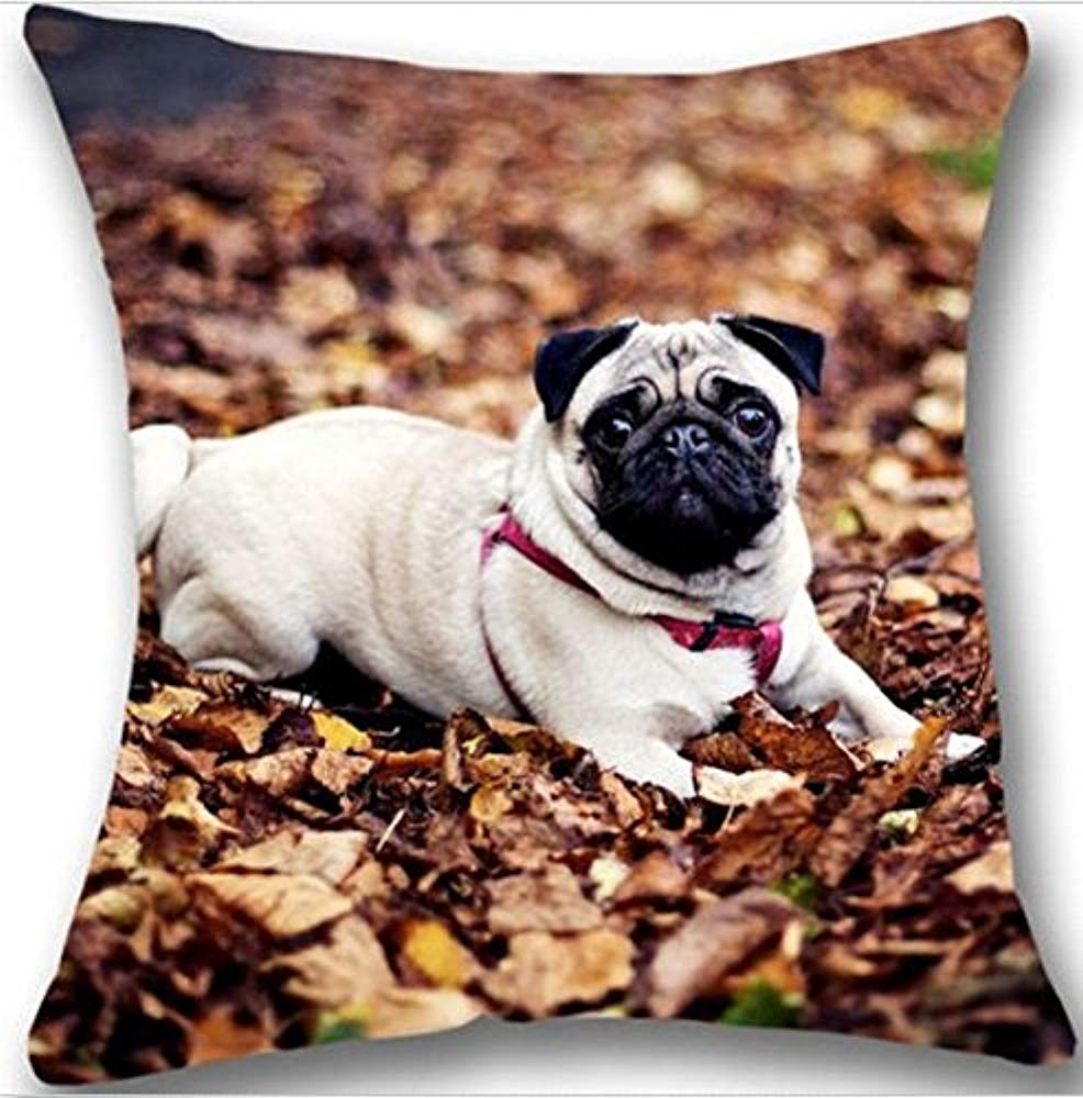 Pillowslip Custom Pug Puppy Dog Pekingese Standard Square Nice Pillow Protector Sofa Both Side With Zipper Printed Home Pillowcase Car Cushion Cover Decorative Pillow Case Throw Pillow Case Thro