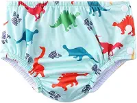 Acqua di Mare Sunga com Fralda de Piscina Reutilizável Bebê Menino 6 a 24 meses