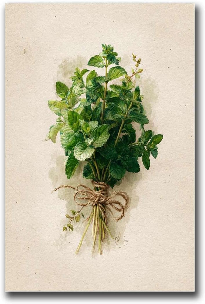 Canvas Painting Poster and Print Pictures Mint Herb Watercolor Botanical Art Print Modern Art Decoration for Living Room Bedroom and Office 8X12inch