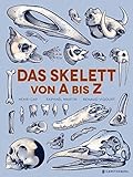  Das Skelett von A bis Z