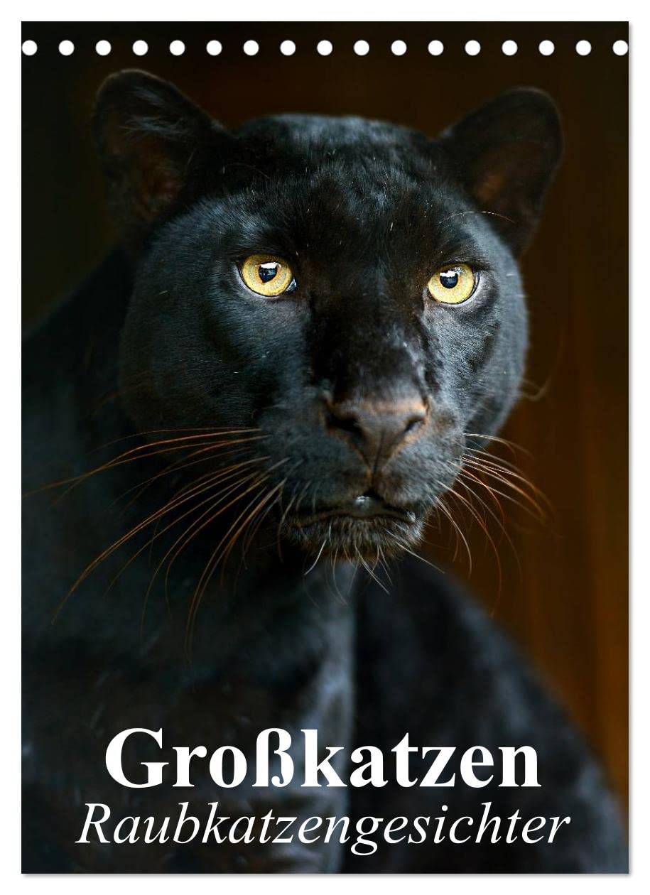 Großkatzen. Raubkatzengesichter (Tischkalender 2023 DIN A5 hoch): Die unbeschreiblich schönen Gesichter von Großkatzen sind immer wieder ein Freude. (Monatskalender, 14 Seiten ) (CALVENDO Tiere)