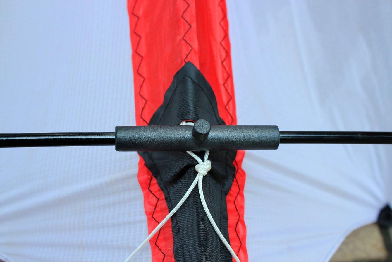 HENGDA KITE-Upgrade Star Rhyme 48 Inch Dual Line Stunt Kite for Kids and Adults,Outdoor Sports,Beach and Fun Sport Kite,Handle,Line,and Bag Included