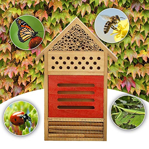 Eternitry Garten Bienenkasten Insektenhotel Insektenhaus Insektenhaus Insektennest Schmetterling Insektenhotel… – Bild 5