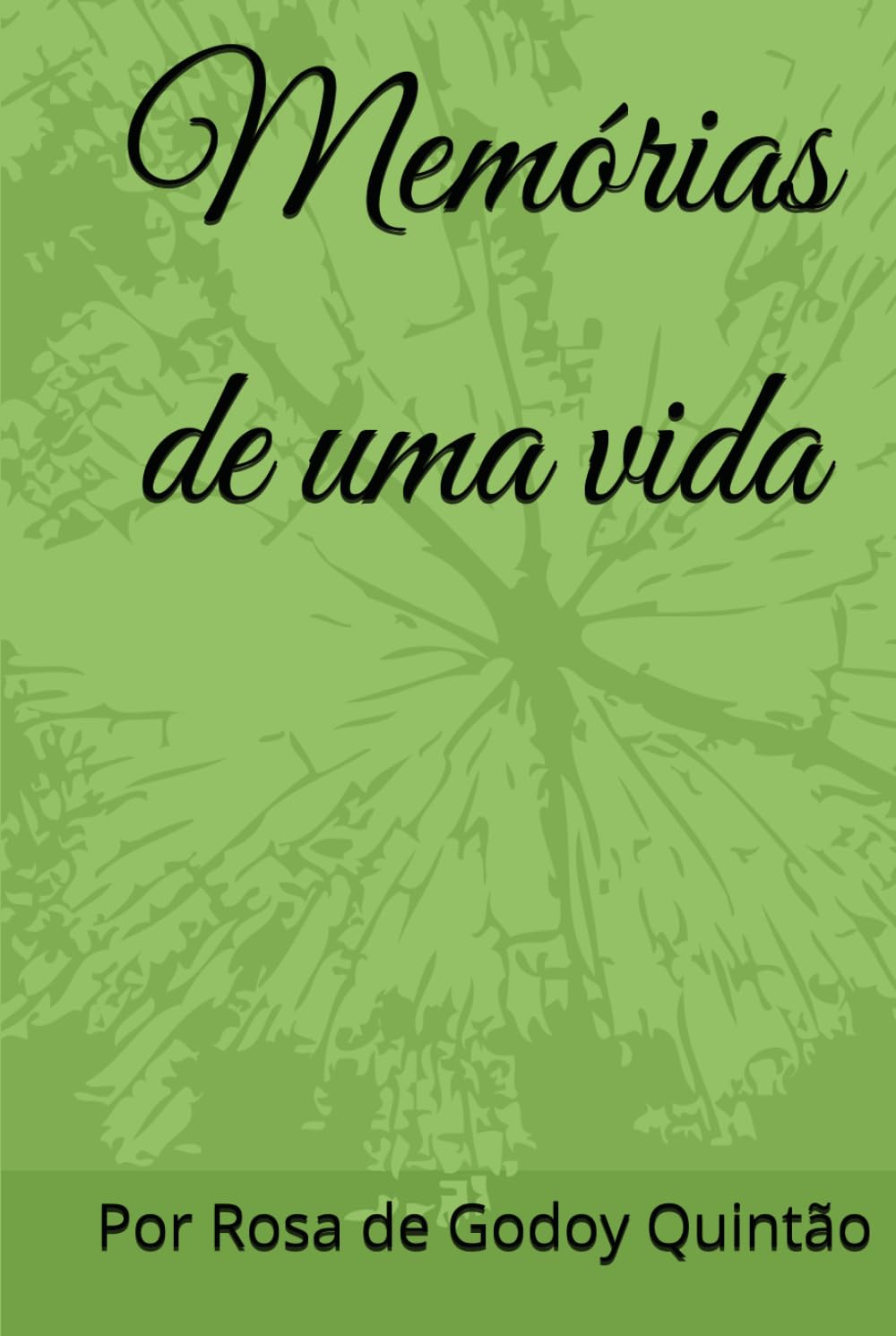 Memórias de uma vida: Por de Rosa de Godoy Quintão