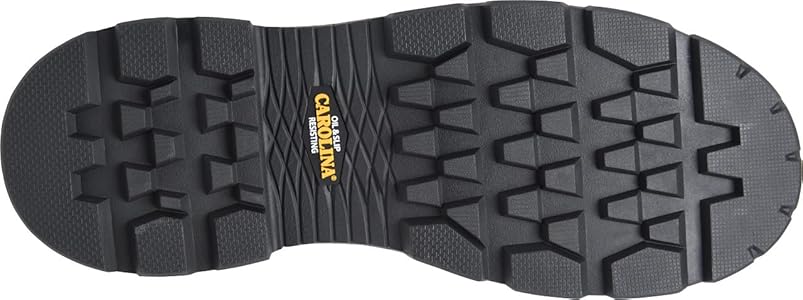 Amazon.com | Carolina Cardinal 8