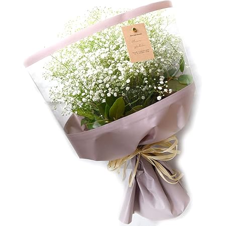 Amazon ラッピングリニューアル かすみ草 カスミソウ 花束 真っ白な花束 Lサイズ 花束 オンライン通販