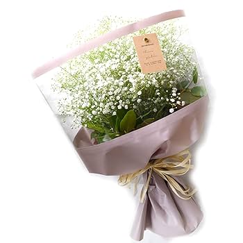 かすみ草さま　白のみ生地終了 楽天市場】誕生日 プレゼント 花束 花 宅配 ギフト かすみ