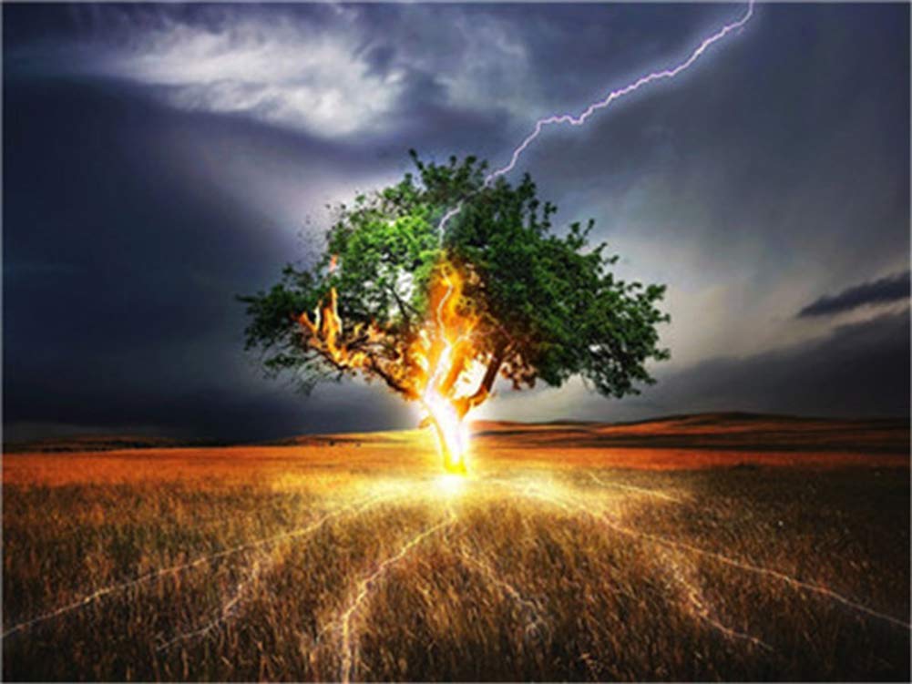 Wowdecor Tree Paint By Numbers For Adults Beginner Kids, Number Painting - Lightning Nature Scenes Landscape 40X50 Cm - Wall Art Gifts (Framed)