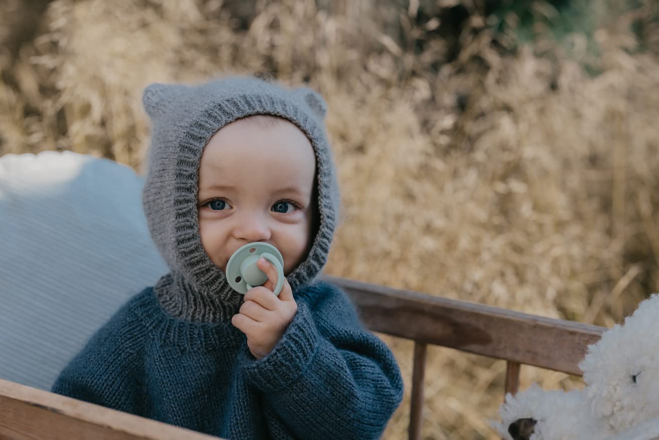 BIBS Pacifiers - De Lux Collection | BPA-Free Baby Pacifier | Made in Denmark | Set of 2 Blossom/Haze Color Premium Soothers | Size 6-18 Months | Natural Rubber | BPA-Free | Danish Design | Airflow Holes | Comfort Shield