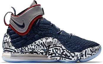 cool lebron shoes