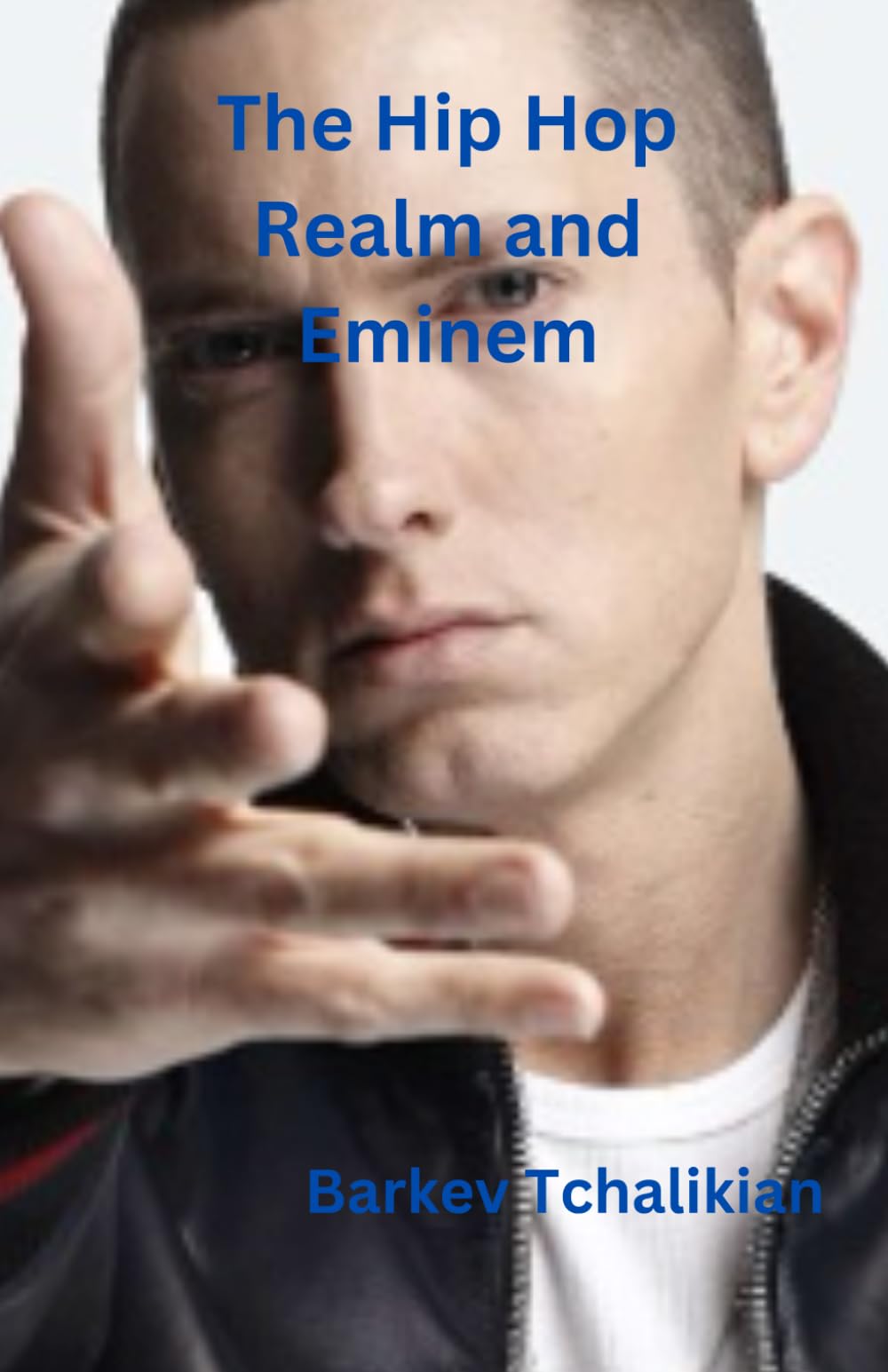 The Hip Hop Realm and Eminem: Slim Shady