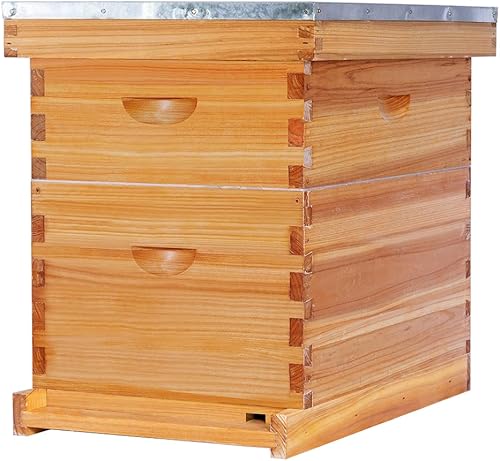 POLLIBEE Las colmenas de abeja Langstroth con revestimiento de cera de abeja de 8 marcos incluyen 1 caja profunda y 1 caja mediana para abejas con
