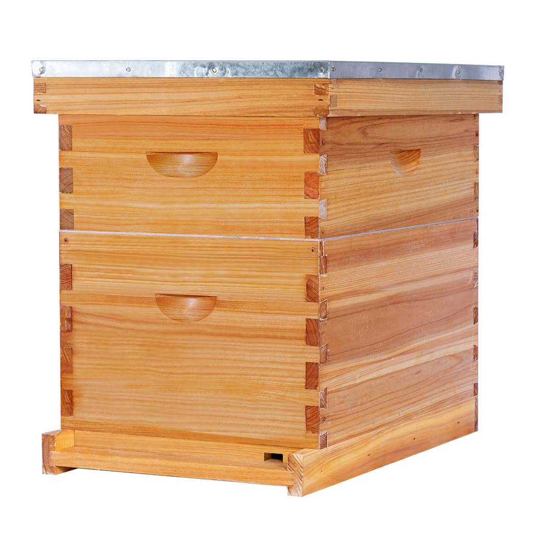POLLIBEE 8 Frame Beehive Beeswax Coated Langstroth Bee Hives Include 1 Deep Boxes and 1 Medium Bee Box with Beehive Frames and Foundations(Unassembled)