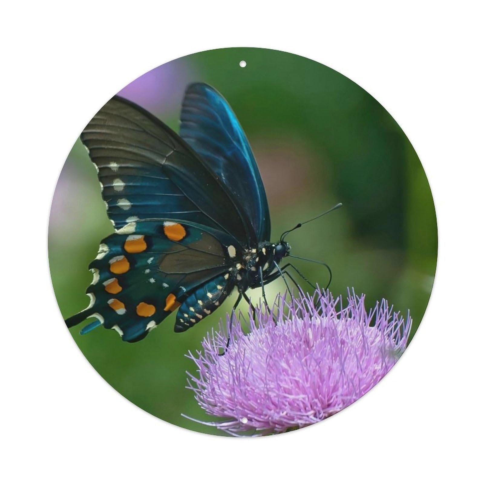 Animals Insects Pipa Swallowtail Butterfly Vintage Metal Tin Sign Plaque Wall Decor for Cafe, Club Bar, Office, Garden Metal Poster 8x8Inch