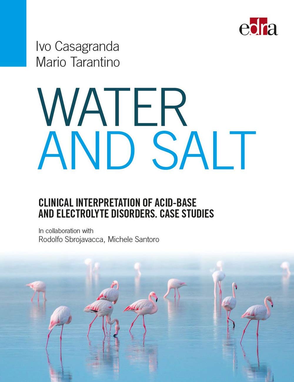 Clinical interpretation of acid-base and electrolyte disordes. Case studies