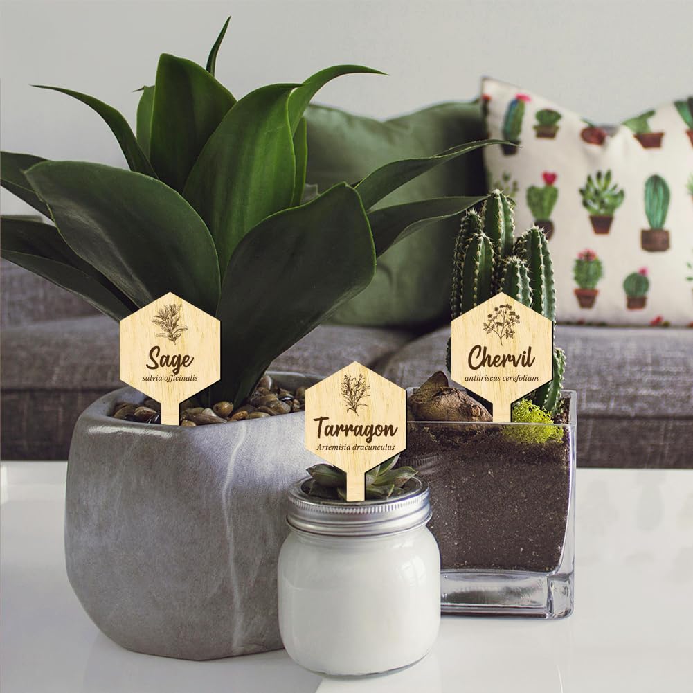 arricraft 15 Pz Legno Nome Pianta Etichette, 15 Stili Etichette Giardino con Nome Completo di Medicina Erboristica Marcatori di Legno per Piante Indoor ed Outdoor Erbe Seed Potting