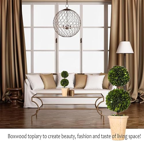 Miniatura 3 de Árbol boj ornamental bien conservado en maceta de terracota, planta verde para decoración del hogar (de bola única, 41 cm de alto), 20"
