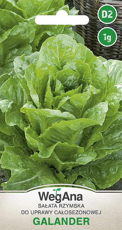 WegAna Galander Semillas de Lechuga Romana 1g, Semillas de Hortalizas Robustas Medianas Tempranas, Semillas de Hortalizas, Semillas para Cultivo, Semillas para Invernadero