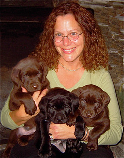 Callie (Kitty Corner #1) - Kindle edition by Miles, Ellen. Children ...