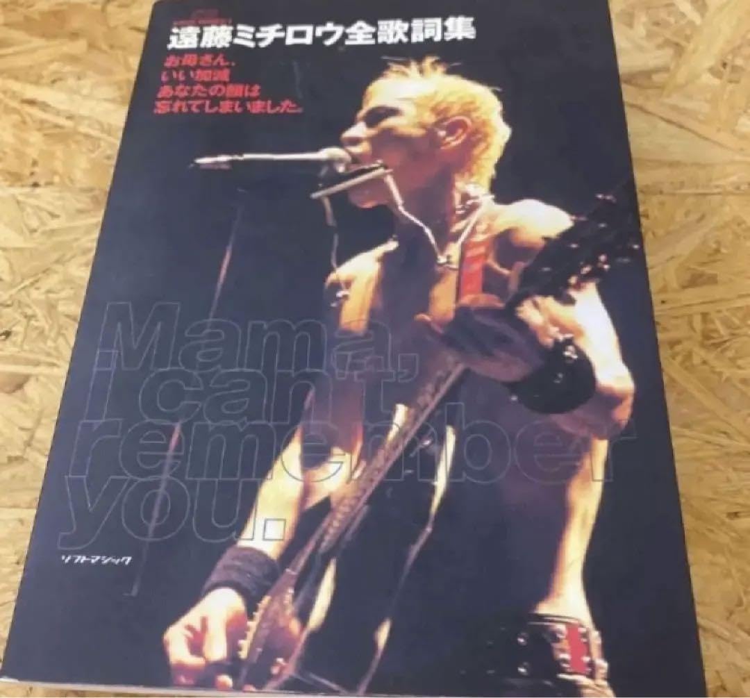 Amazon.co.jp: 遠藤ミチロウ全歌詞集 お母さん、いい加減あなたの顔は 