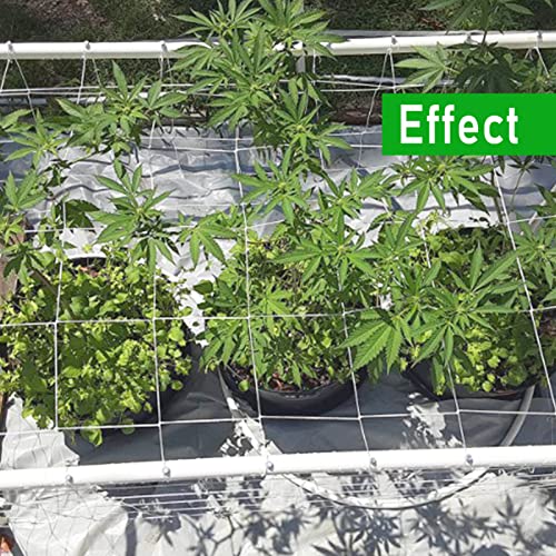 Homeaning 10 X 30Ft,1 Pack White Garden Trellis Netting,Heavy-Duty Polyester Grow Net, Plant Netting For Climbing Plants Outdoor,Vegetables, Fruits, And Flowers #TOP6