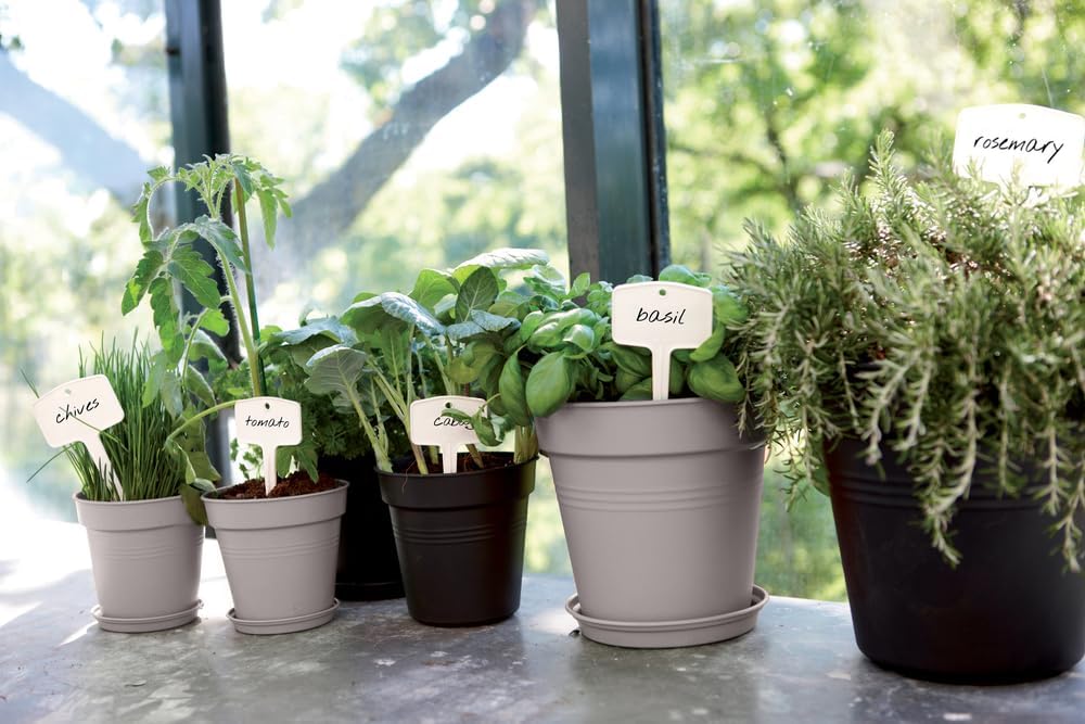 elho Green Basics Growing Pot 24 - Growpot for Growing and Harvesting - Diameter 24.0 x Height 22.1 cm - Purple/Faded Purple