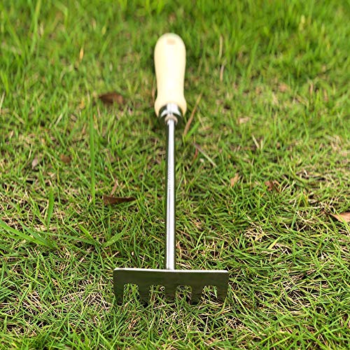 Rastrillo de Jardín Enjoyer con 5 Dientes de Acero y Mango Ergonómico miniatura 3