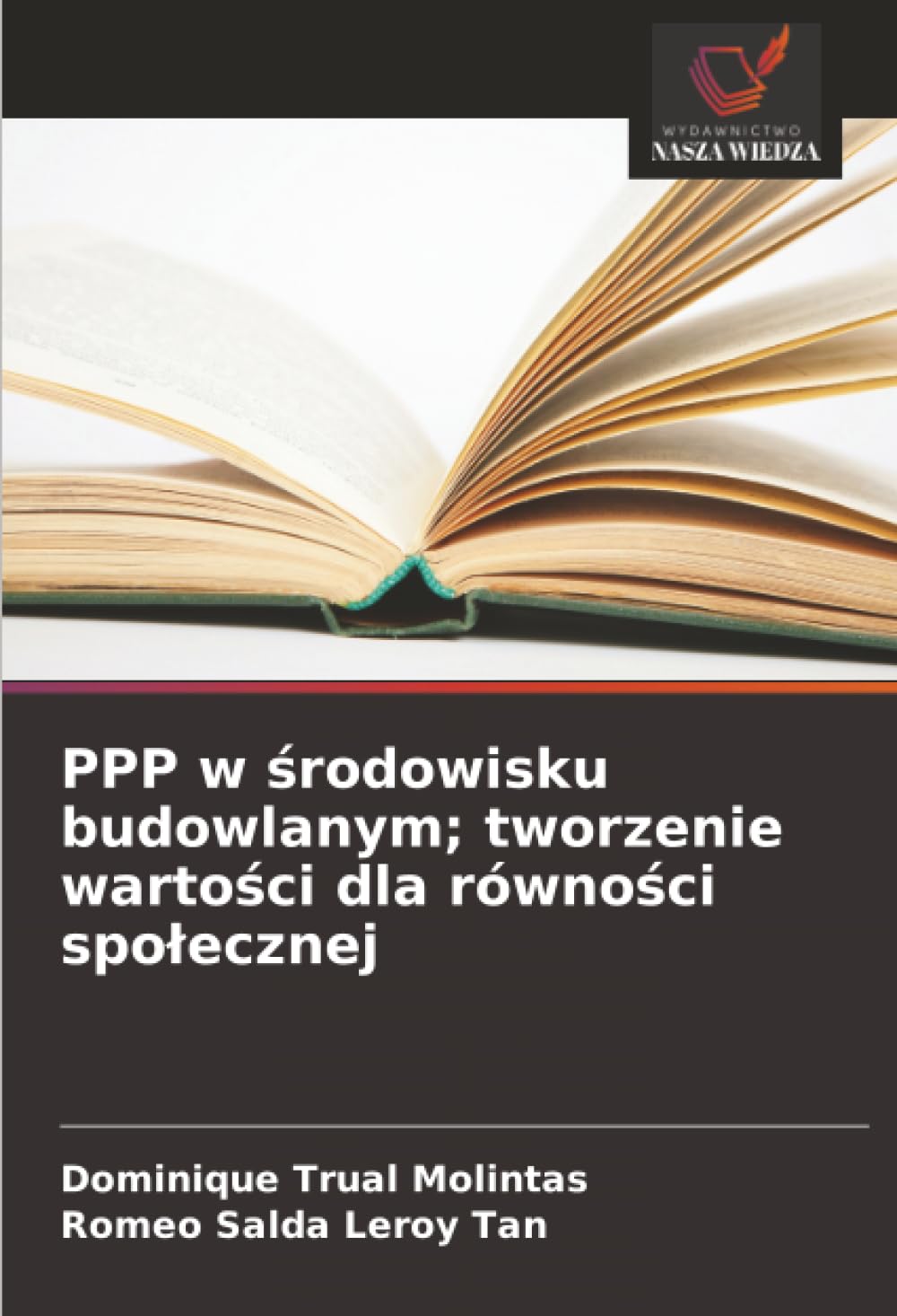 PPP w środowisku budowlanym; tworzenie wartości dla równości spolecznej