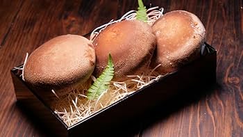 三種混合生茸　神茸根　２袋 akune-2-288_smn_03.jpg