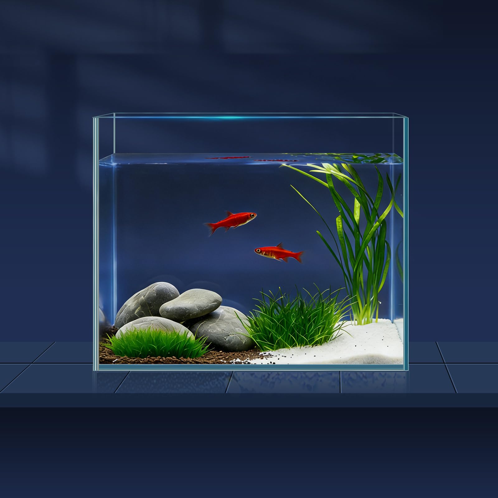 LAQUAL 1 Gallon Glass Fish Tank Starter Kit