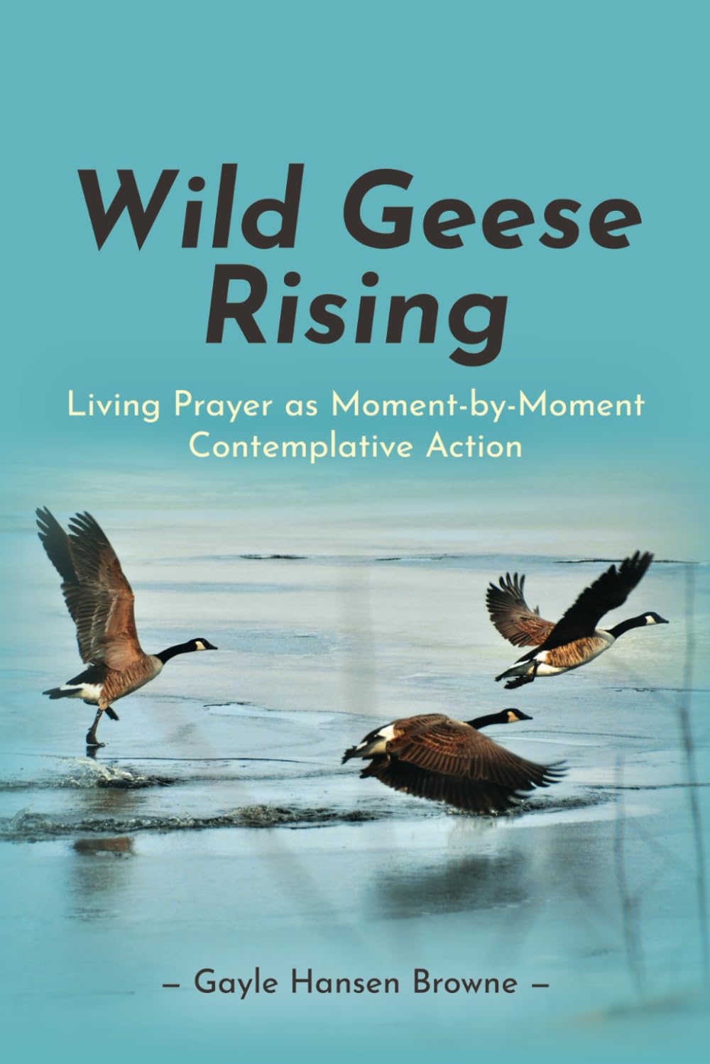 Wild Geese Rising: Living Prayer as Moment-by-Moment Contemplative Action