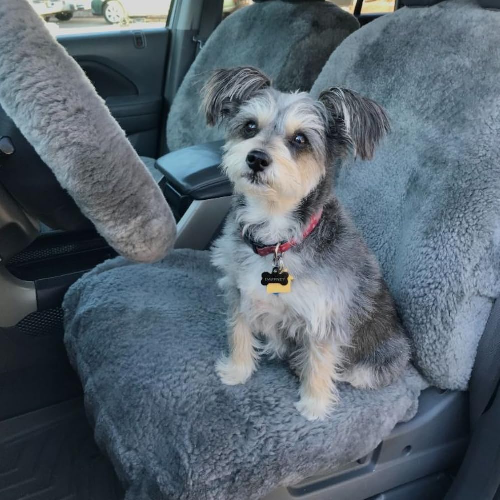 Amazon.com: ShearComfort Semi Custom Sheepskin Seat Covers Front