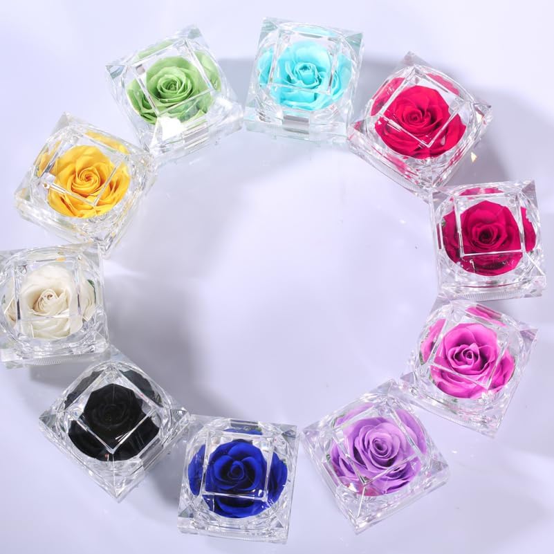 BESTonZON Preserved Flowers Box with Never Withered Rose for Valentine Anniversary Birthday Mini Eternal Rose Display for Women Girlfriend Mom Romantic Home D Cor - Image 7