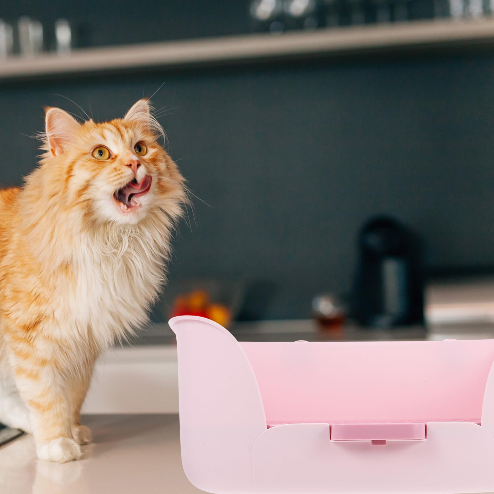 Happyyami Lettiera per Piccoli Animali WC per Conigli e Cavia Box per Rifiuti Facile da Pulire Design Rete Adatto per Coniglietti Cani e Criceti