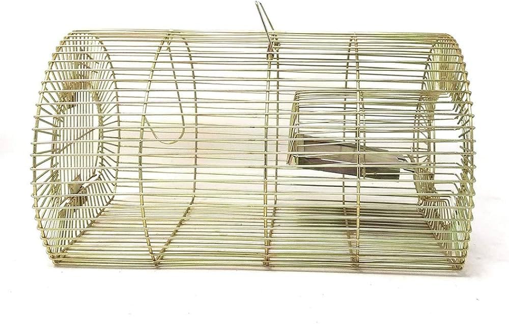 PRIME CREATION Rat Trap Cage, Rodent Control, Pinjra for Rat, Mouse and Mice Rat Catcher Cage Made with Brass Metal Wires, Round Shape for Home, Office (Golden, Green)-image-46