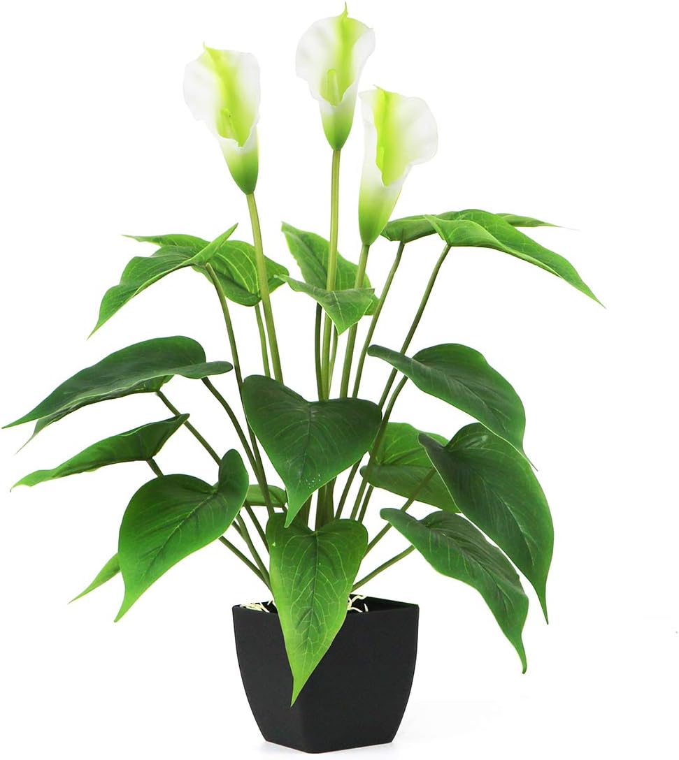 Bird Fiy Artificial Plants Flowers, Real Touch Fake Calla Lily Plant Greenery Shrubs Silk Flower for Wedding Bridle Bouquet Indoor Outdoor Home Kitchen Office Table Decor (White, 1Pcs/Black Pot)