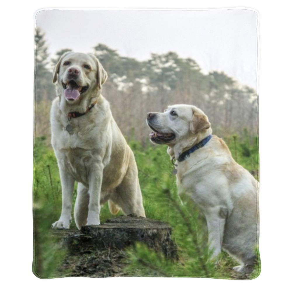 Personalised Snuggle Blanket Customised Blanket Photo Blanket Heated Blanket  Throw Personalised Photo Gifts - 50X60 Inches : Amazon.co.uk: Home u0026 Kitchen