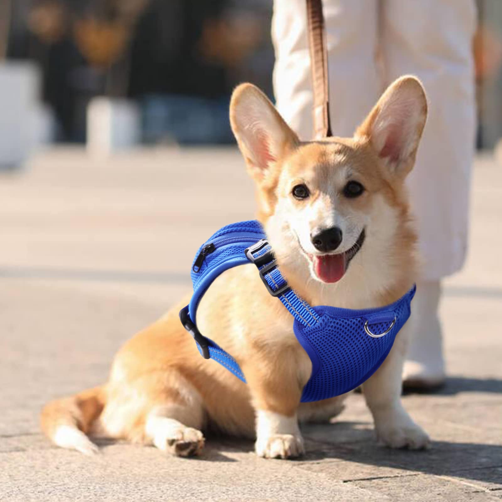 IDOMIK Zaino pettorina per cani con anello a D per cani di piccola e media dimensione, carino zaino da trasporto per cani, imbracatura regolabile per viaggi, campeggio, escursionismo, squalo,