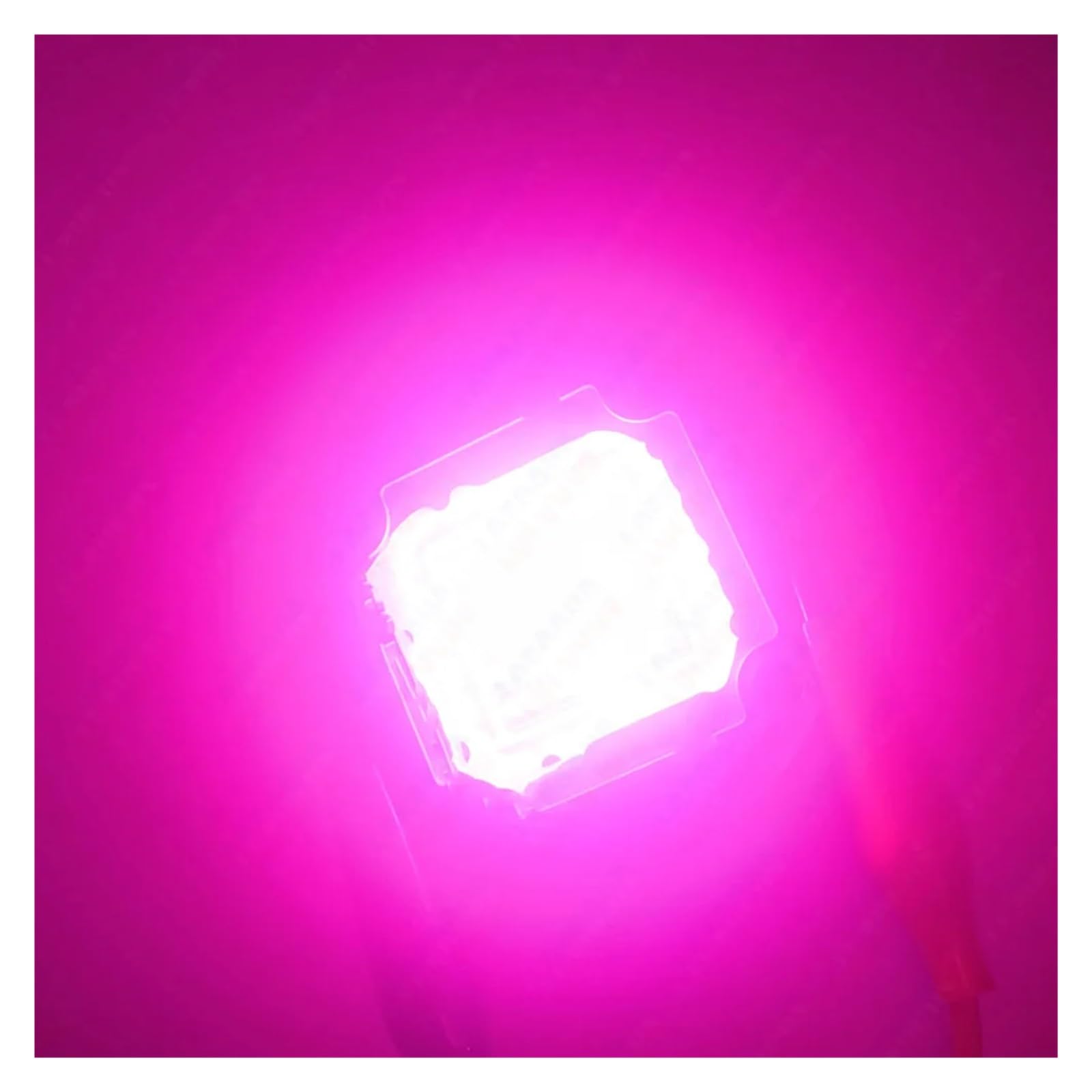 Lámpara de Cultivo, 10W 20W 30W 50W 100W Rojo Intenso 660nm + Azul Real 440nm lámpara LED COB con Chip de luz for Plantas de Interior, Frutas, Flores y Hierbas(50 Watt x 1 Piece)
