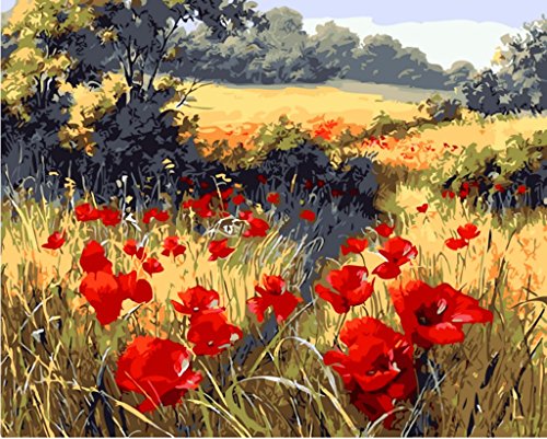 YEESAM ART Peinture Numero avec Toile Tendue sur Cadre Rouge Coquelicot Fleur Jardin, Bricolage Peinture par Numero 40x50cm Numéro d’Art Acrylique...