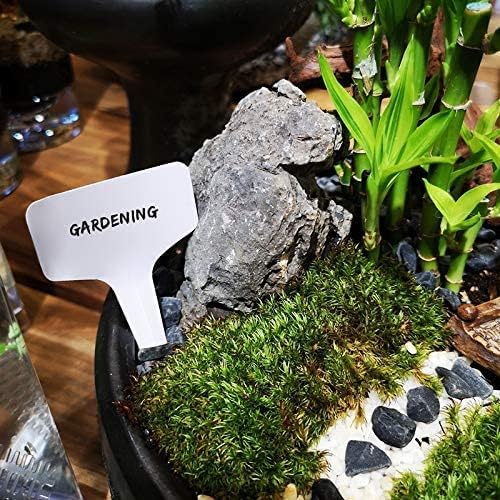Kinglake TRTAZI11A 100 Pcs 6 X10Cm Plastic Plant T-Type Tags Nursery Garden Labels thumb #5