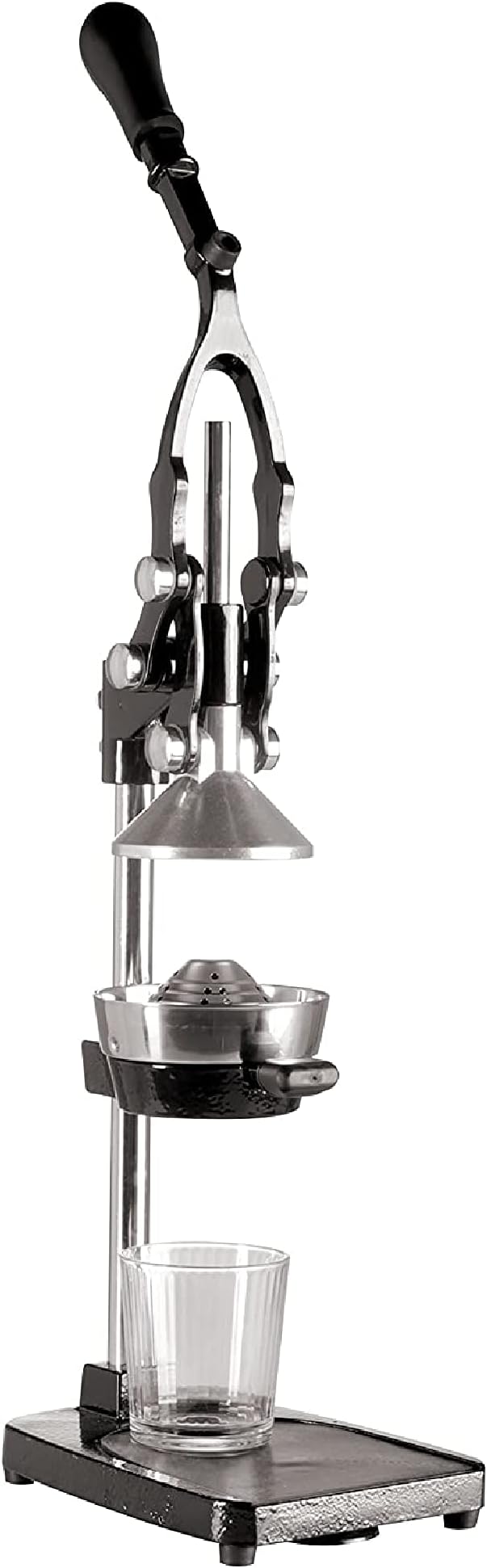 Omega J8006 Nutrition Center Quiet DualStage Slow Speed