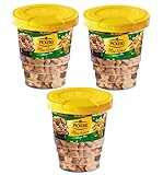 FLAMINGO ON THE BEACH