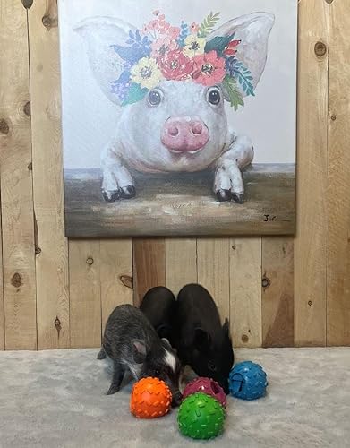 Miniatura 3 de Pelota dispensadora de golosinas desafiante para cerdos, lechones, perros, conejos, gatos y otros animales pequeños, estimulación mental y diversión