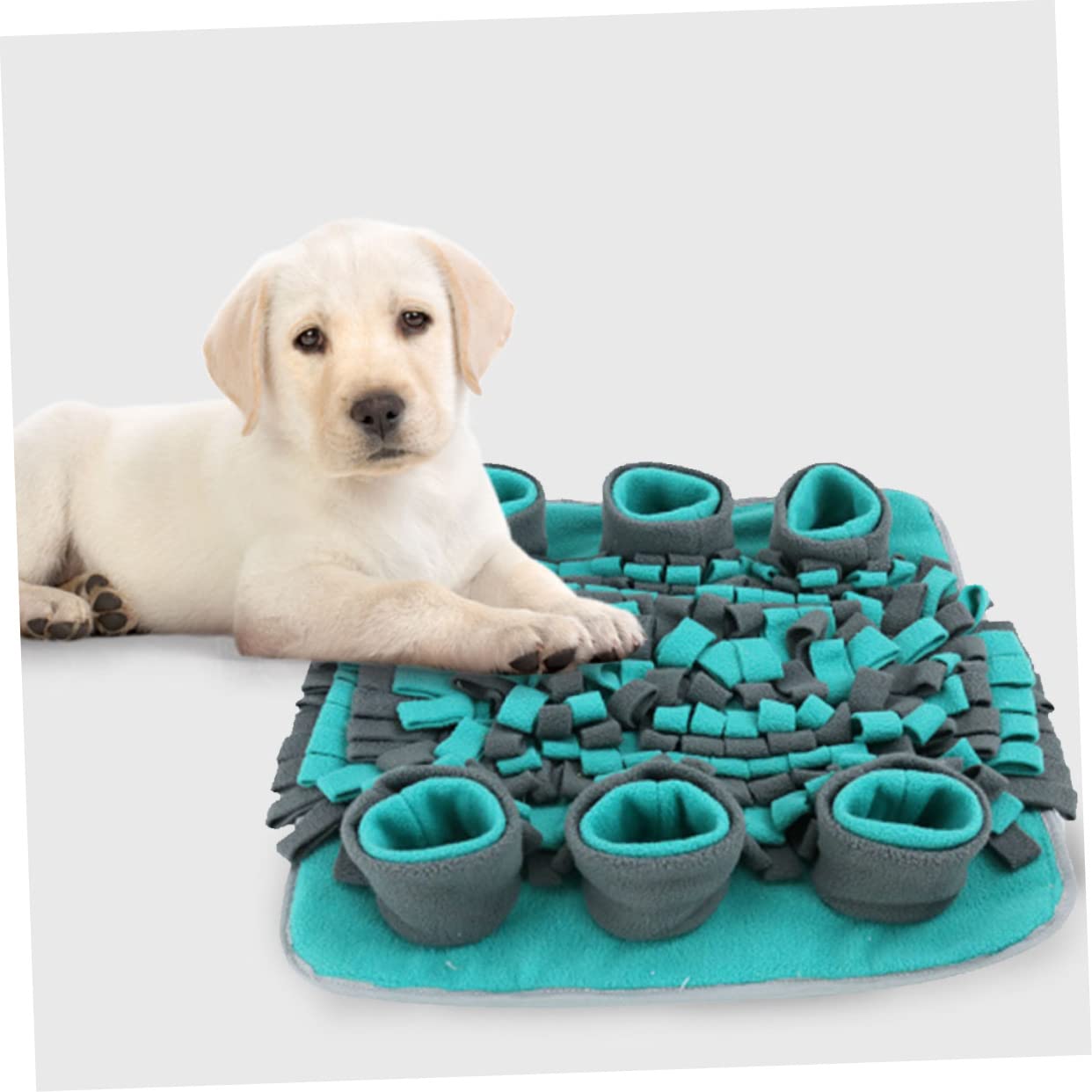 Tapis À Renifler Doux pour Chien Tapis À Renifler Doux pour Animal De Compagnie Tapis De Sol pour Animal De Compagnie Fonction Dalimentation Lente
