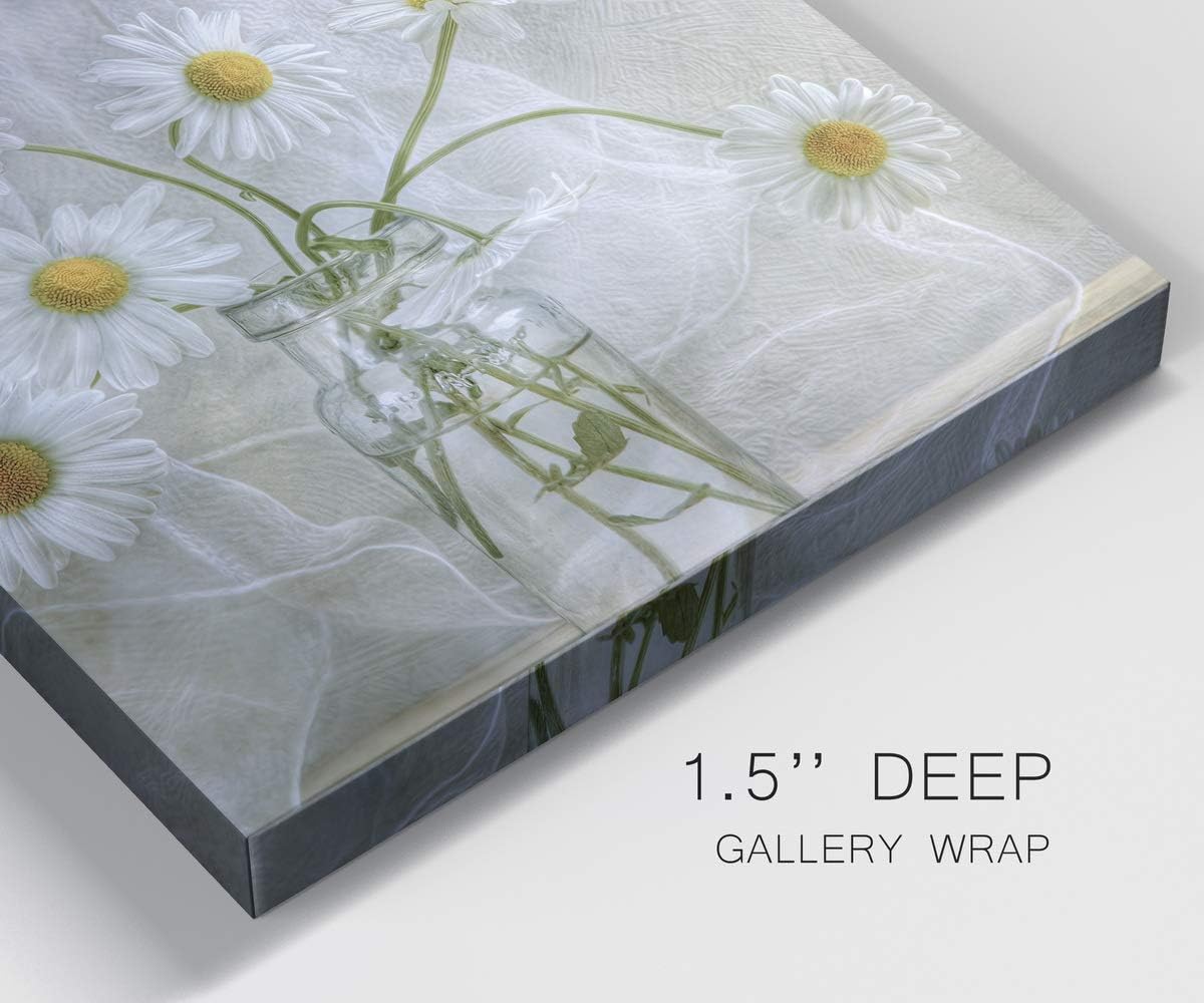 Renditions Gallery Daisies Wall Art, Premium Gallery Wrapped Canvas White Flower in Bottle Wall Decor, Ready to Hang, 24 in H x 24 in W, Made in America Print