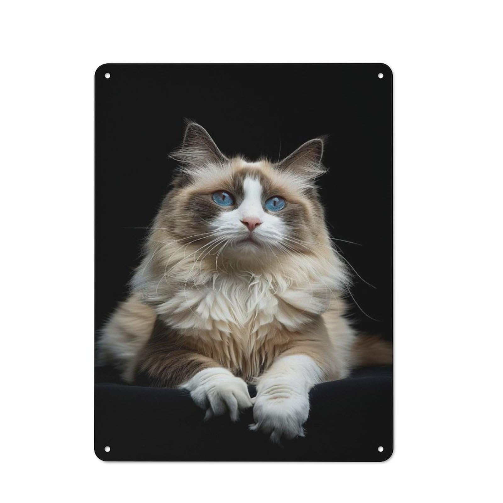 Vintage Tin Sign 40x30cm Featuring Ragdoll, Porch Wall Decor for Patio Bar, Workshop, Shed Or Kitchen