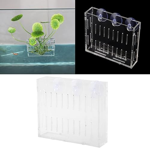 Miniatura 8 de Taza de plantación de acuario, maceta acrílica para plantas acuáticas, soporte para macetas acuáticas con 3 ventosas, taza de hierba de agua