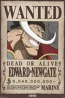 Officially Licensed One Piece - Wanted Whitebeard Art Poster - 24 x 36 Inch - Decorative Print - Poster Paper - Ready to Frame