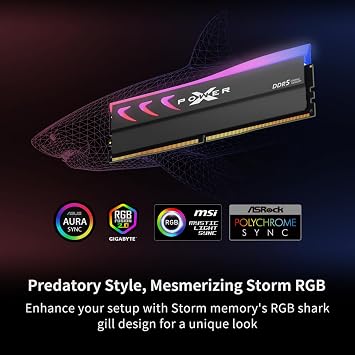 Silicon Power Storm RGB DDR5 6000MT/s (PC5-48000) CL28 32GB(16GBx2) Dual Pack 1.4V Desktop Unbuffered DIMM SP032GXLWU60DFDK